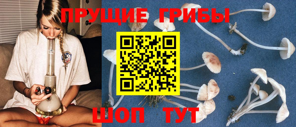 купить   Вход с VPN  Россия  Галлюциногенные грибы ЛСД 