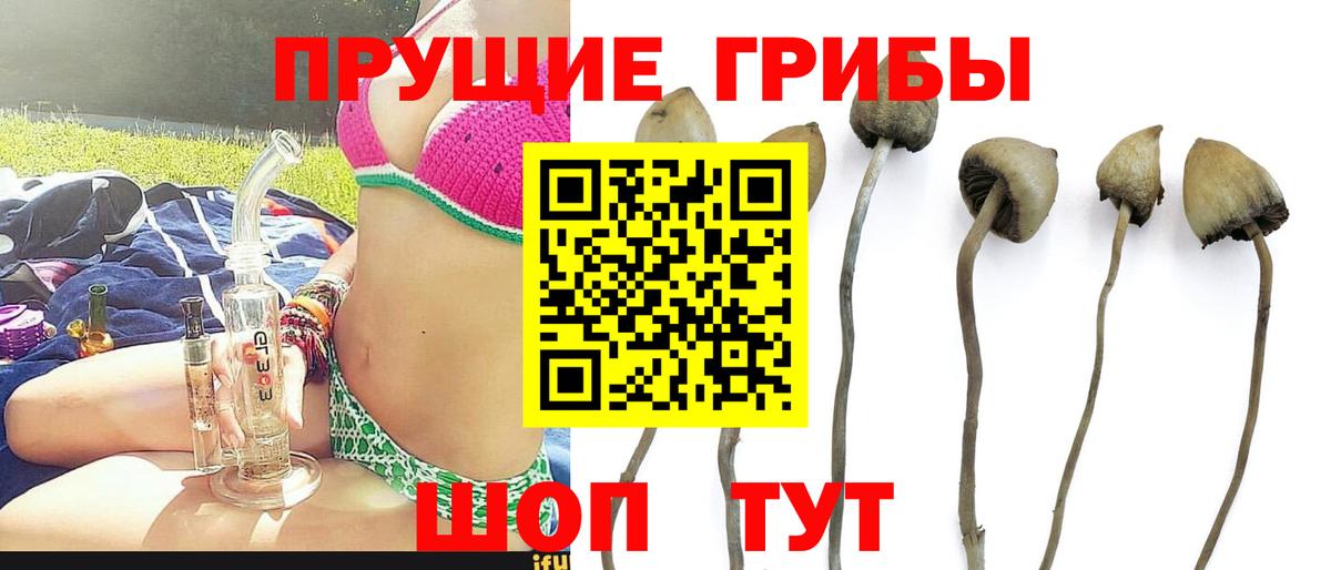 Псилоцибиновые грибы мухоморы Россия